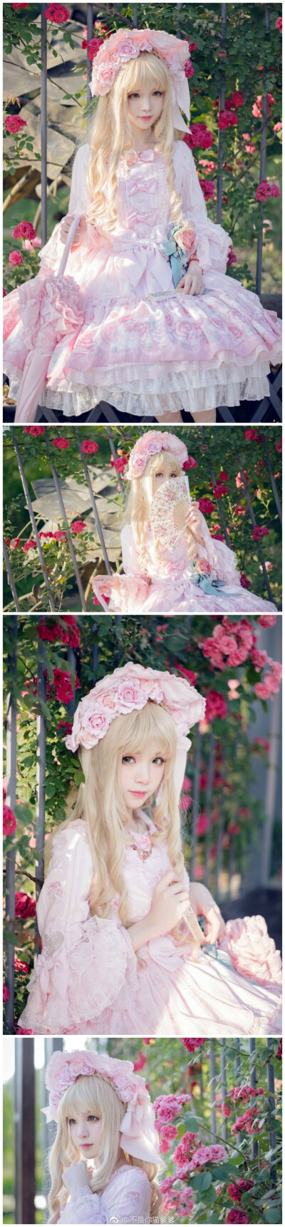 #lolita私影# Angelic Pretty.~Romantic Rose Letter~裙子@AngelicPretty上海店SH 摄影@夜空中的流星的世界 假发：dream holic 奥斯汀的回忆伞：btssb“If your feelings are still what they were last April,tell …