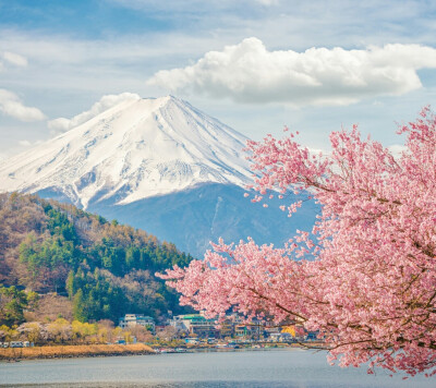 超美富士山