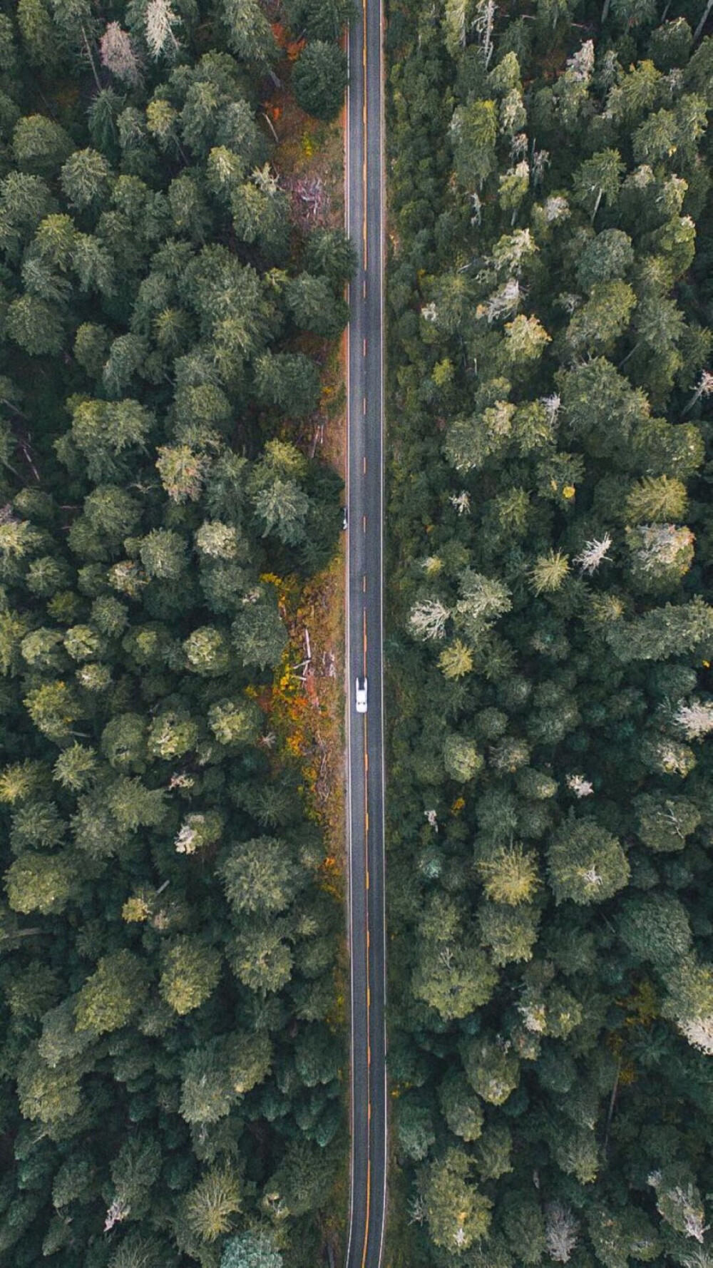 壁紙/風景/