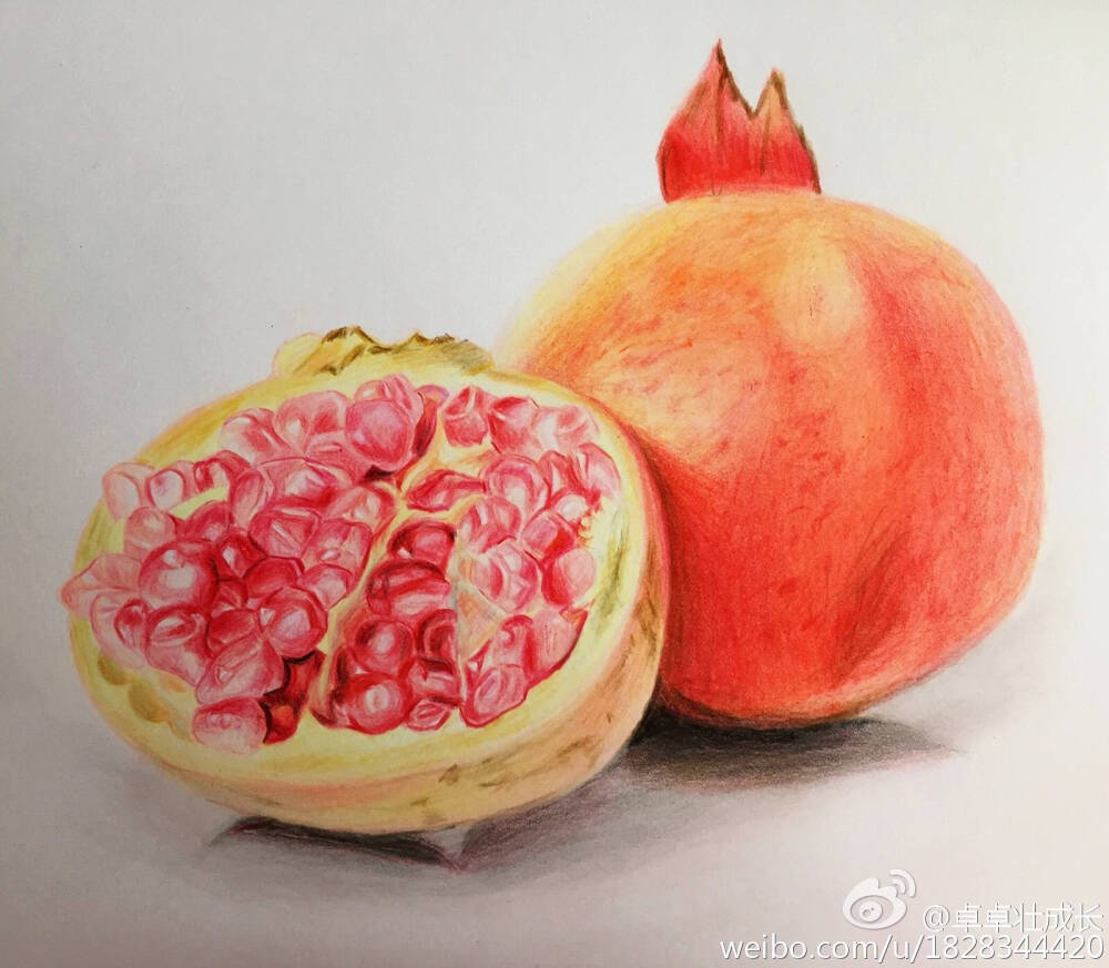 彩铅手绘石榴作者卓卓壮成长