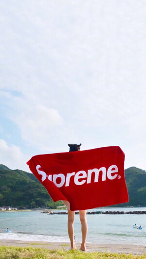 「欧美壁纸」Supreme