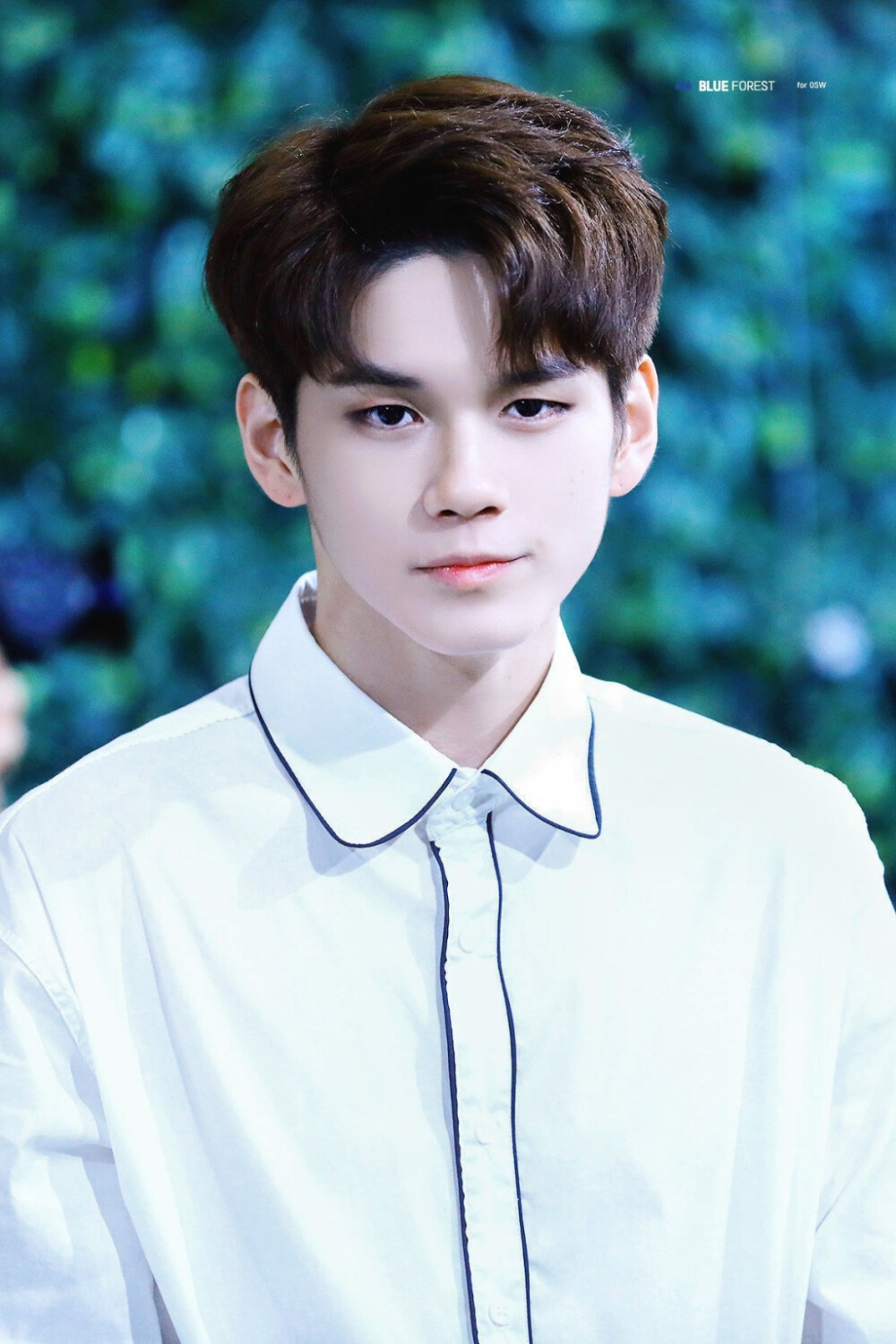 邕圣祐 /2017.08.21 la innisfree free booth/ cr.blue forest