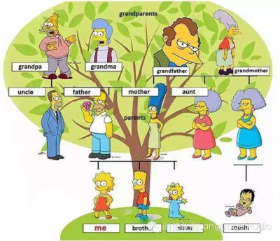 family tree