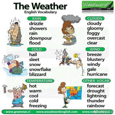 the weather