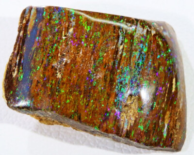 14.1 Cts Boulder Wood Fossil polished BU 2128