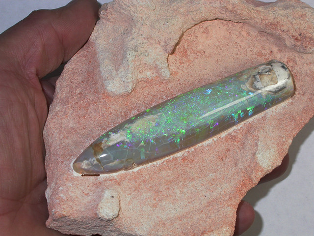 420 GRAMS LARGE BELEMNITE OPAL FOSSIL WELL-POLISHED [S1]