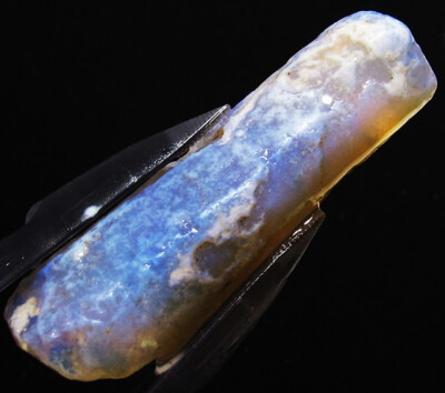 11.50 CTS FOSSIL BELEMNITE (FO20)