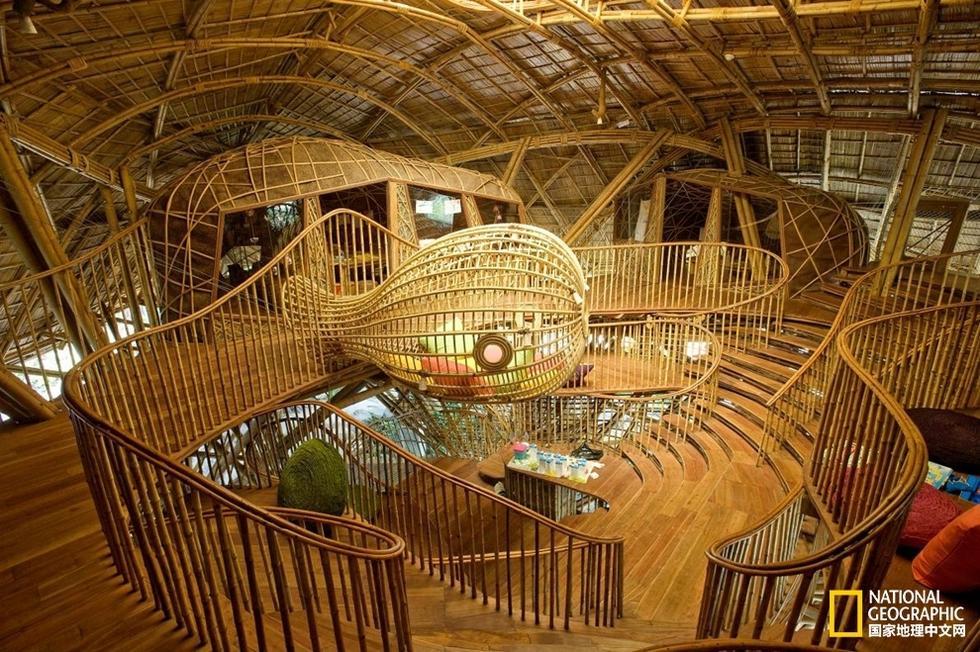 泰国苏尼瓦奇瑞度假村的儿童图书馆形似一座巨型树屋，内设悬吊的阅览室、雨林天窗、一间装配着乐谱墙和泰国乐器的音乐室以及大量关于永久培养和当地传统的书籍。