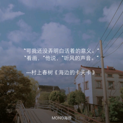 mono海报