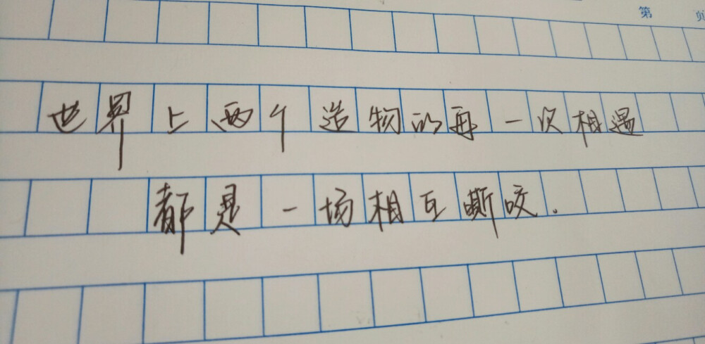 ——卡尔维诺