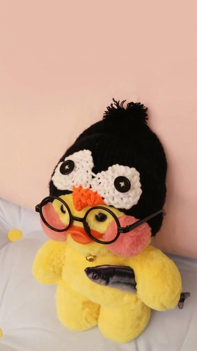 网红玻尿酸鸭 - 堆糖,美图壁纸兴趣社区