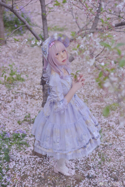 #lolita私影# #lolita装扮# AP紫纱马 『一体どんなスピードで生活すれば、あなたと再度出会えるのか。』裙子是刚接触AP的时候就草上的。。算是初恋之一吧感谢@咸鱼疯癫是个辣鸡 一天的翻山越岭233在樱花快落完之前总…