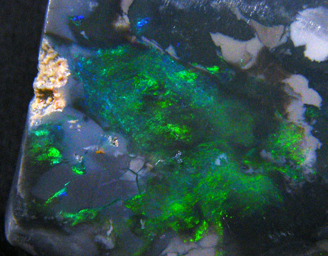 澳宝Opal 澳洲黑欧泊天然矿石標本POLISHED BLACK OPAL ROUGH SPECIEMN 50 CTS JO 1387