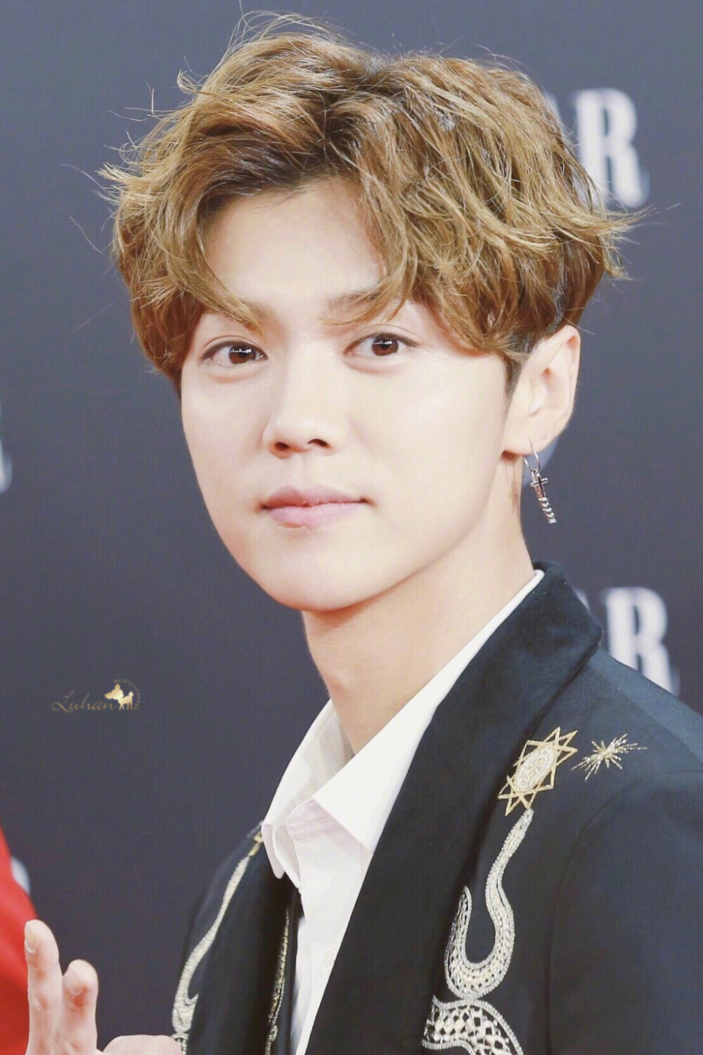 呆萌傻狍子 鹿晗 Luhan #壁纸 #头像