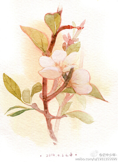 插画 水彩 图源微博，画师ID:云中少年- 侵删 
