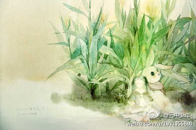 插画 图源微博，画师ID:云中少年- 侵删 
