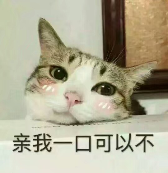 卖萌～