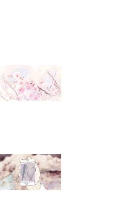 【zero】举牌/贴纸/素材/背景