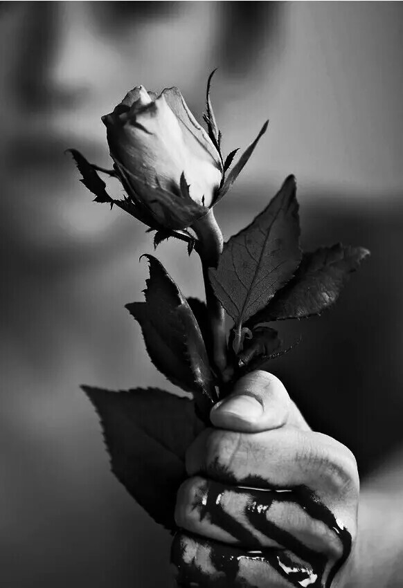 堆糖,美图壁纸兴趣社区