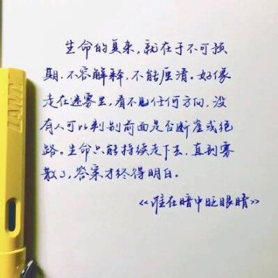 漂亮的字