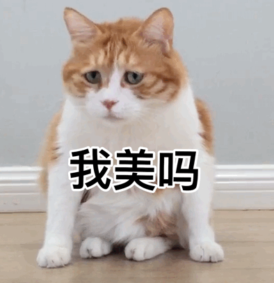 表情包 我美吗