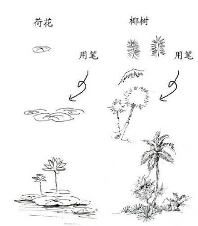 教程 步骤 绘画 速写 黑白 树 石头 钢笔画 叶子