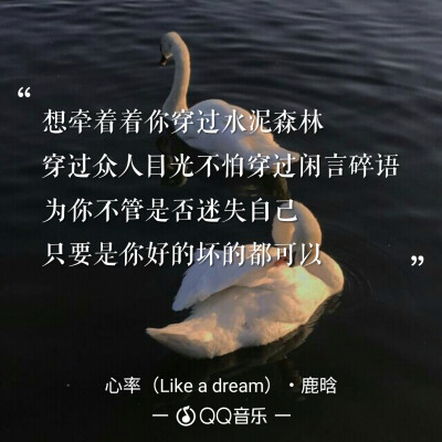 歌词 壁纸 鹿晗 心率