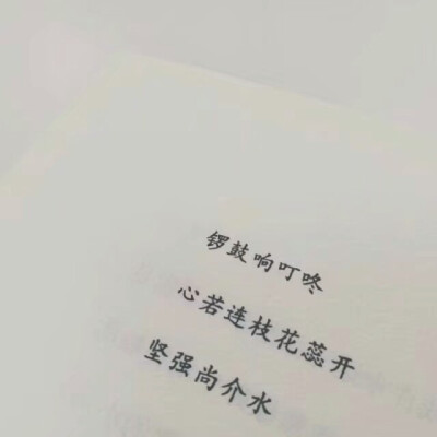 背景图 文字 文艺