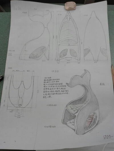 第一次关于家居