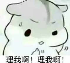 理我啊理我啊