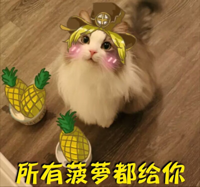 波罗