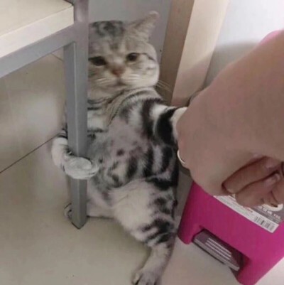 别拉我！