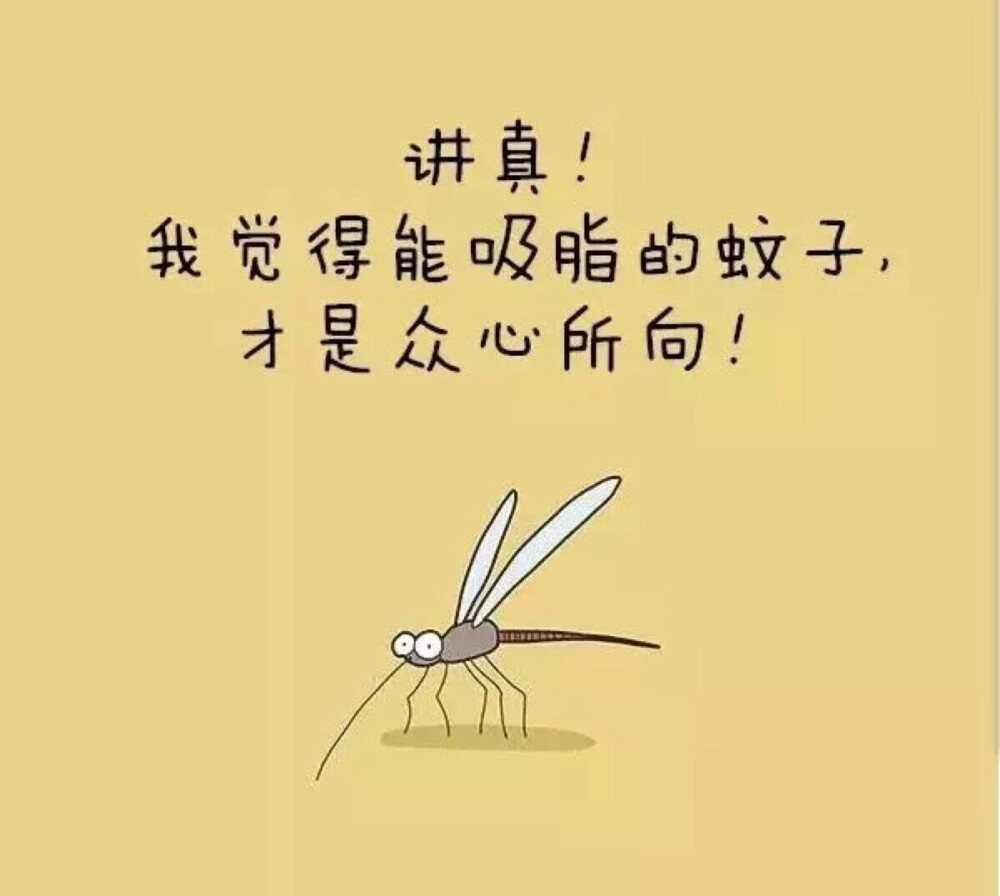 我是个胖纸