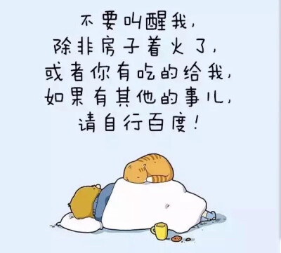 我是个胖纸