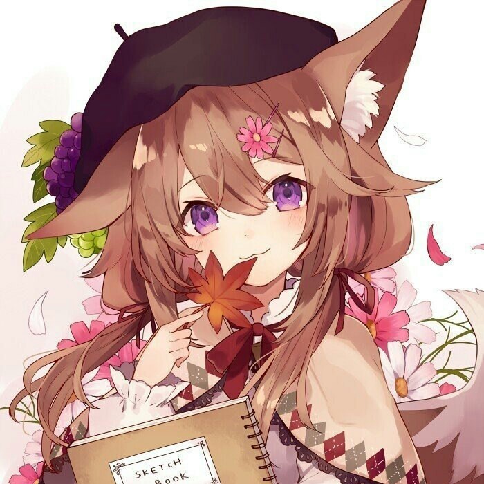 (*๓´╰╯`๓)♡枫叶红