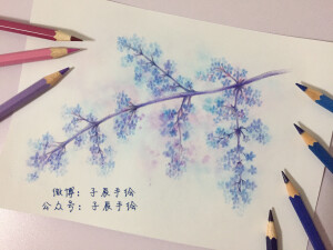 蓝紫色花枝