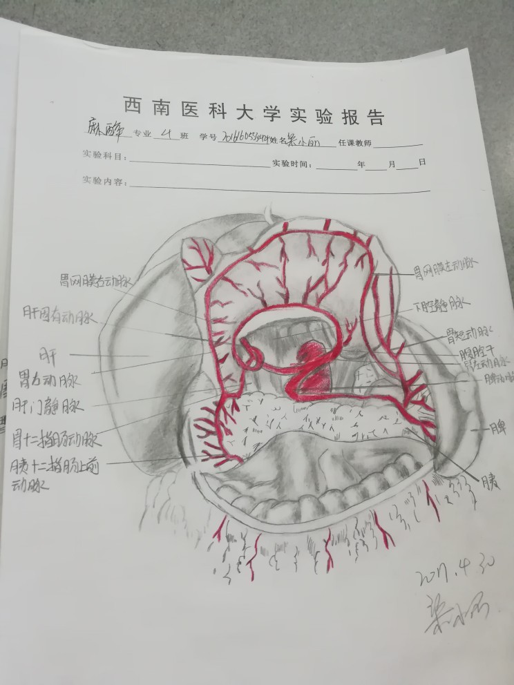 医学