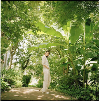 IU《花书签二》