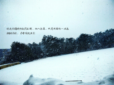 美图美照头像墙纸壁纸 雪 校园