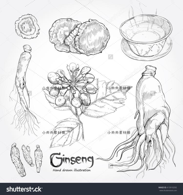 中草药手绘人参营养品产品包装图案海报平面设计素材