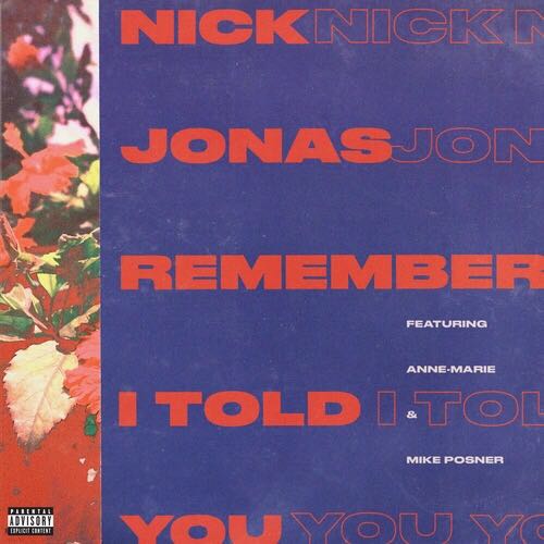 remember i told you nick jonas anne-marie mike