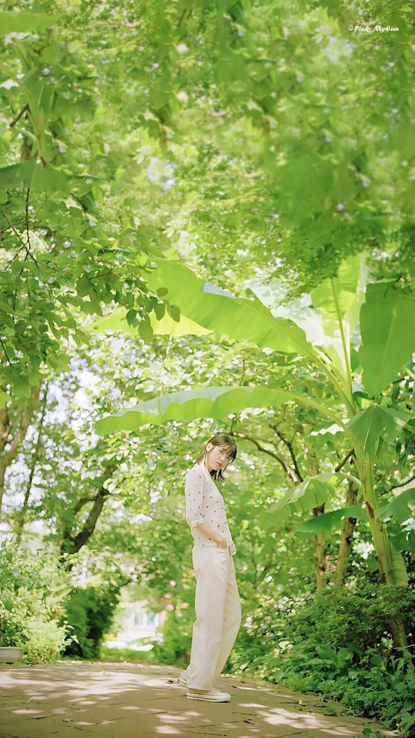 iu李知恩花书签2手机壁纸crpinkmyeun