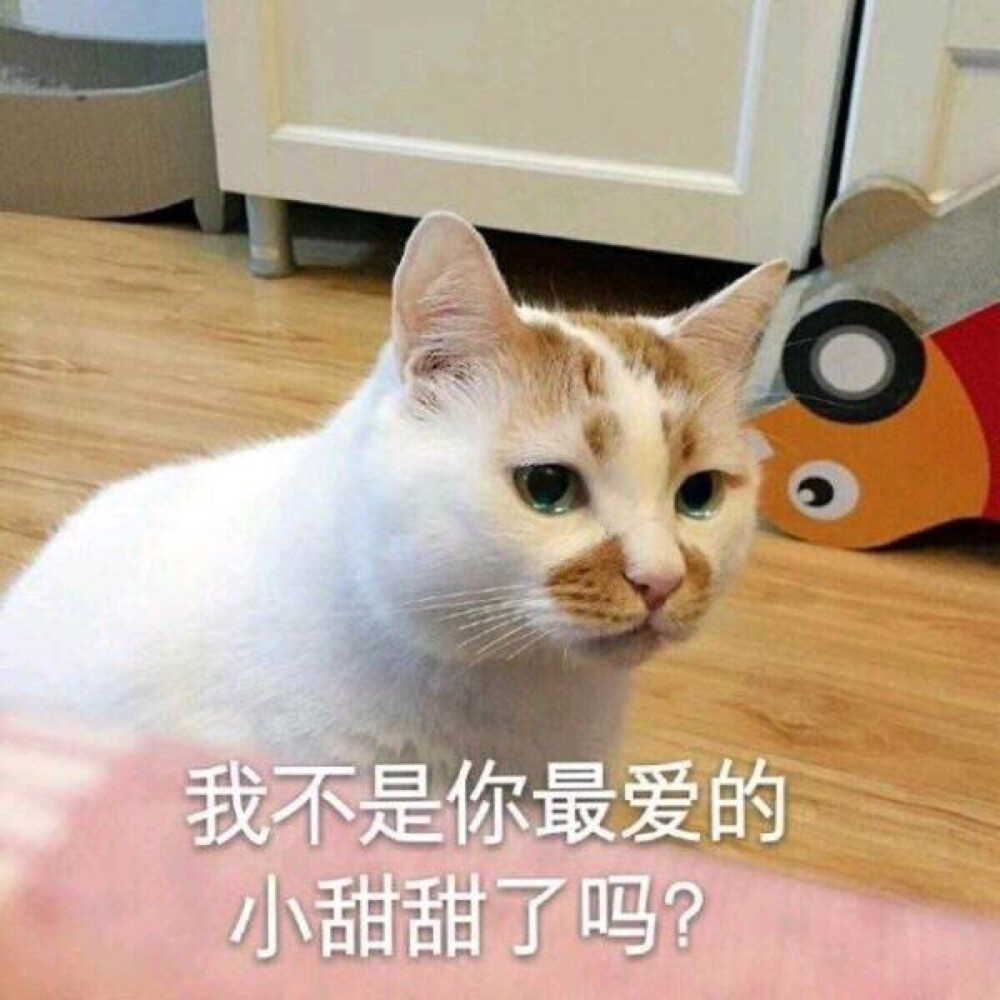 我不是你最爱的小甜甜了吗？