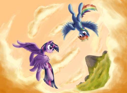 twilight sparkle&rainbow dash