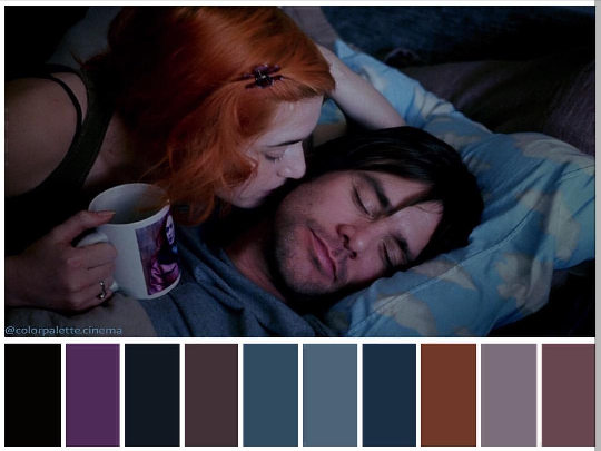 “Eternal Sunshine of the Spotlight Mind”(2004)
《美丽心灵的永恒阳光》