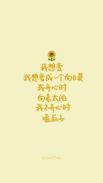 sun了个晒