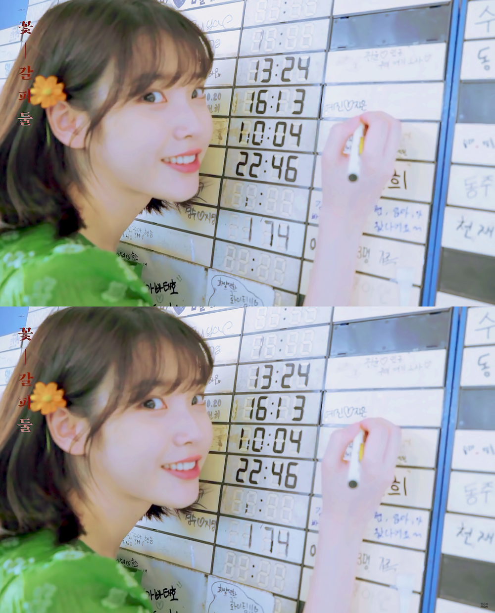 IU 李智恩 李知恩 花书签2 CR：iuS2cap