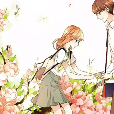 恋是樱草色