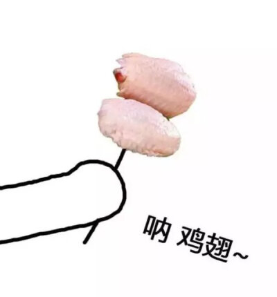 呐 鸡翅~