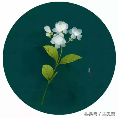 【茉莉】
冰雪为容玉作胎，柔情合傍琐窗开。
香从清梦回时觉，花向美人头上开。
虽然那么平平无奇，却能在自己的一生中，尽情地展示自己，给人们带来了芬芳的倩影，不留下一丝遗憾地离去。
